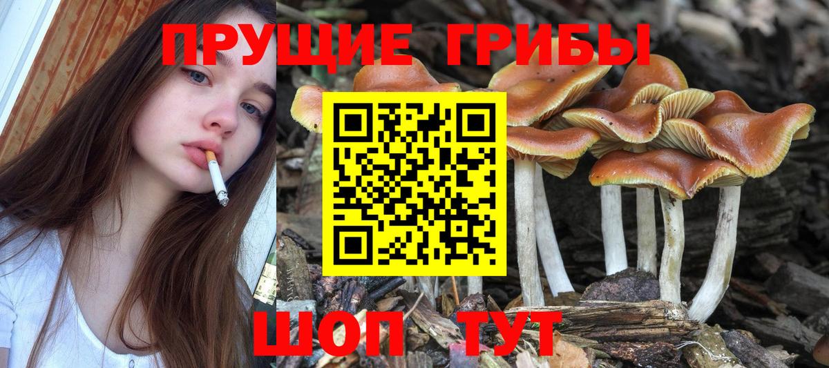 Галлюциногенные грибы Psilocybe  Псилоцибиновые грибы Magic Shrooms  Вход с VPN  Златоуст 